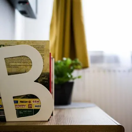 On A Budget 90m From The Main Square * Gliwice